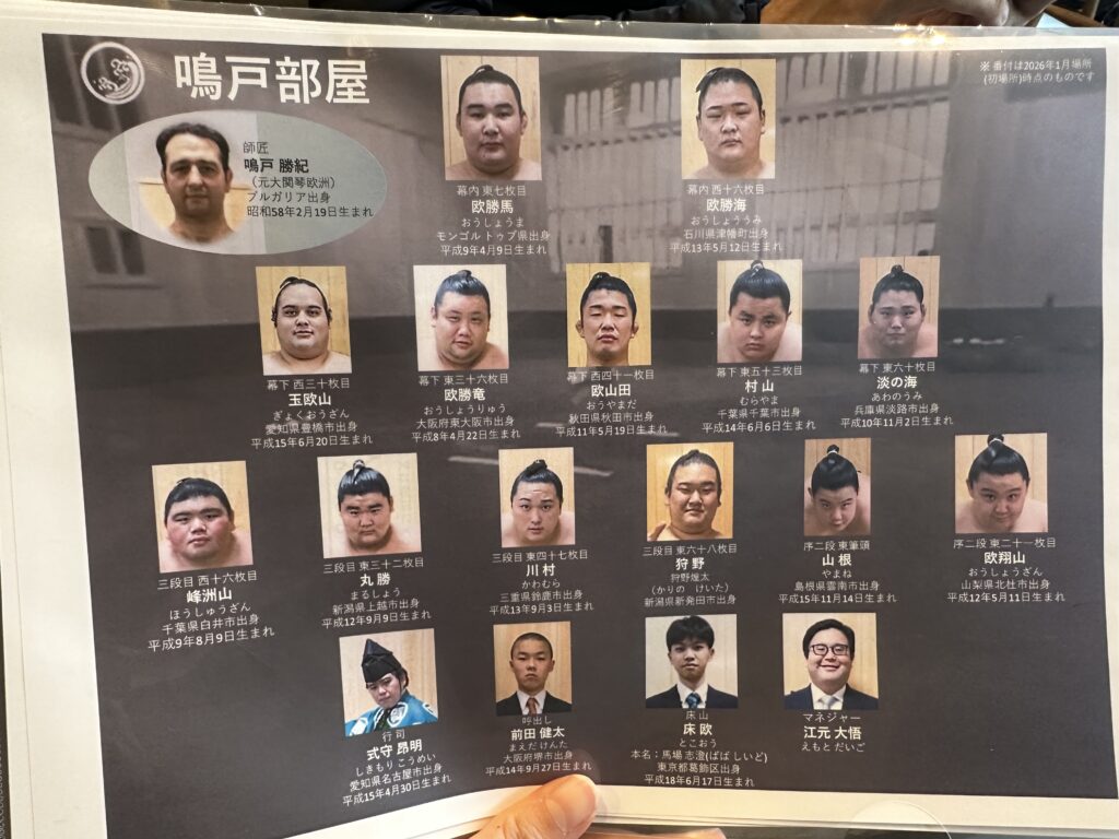 鳴戸部屋力士一覧